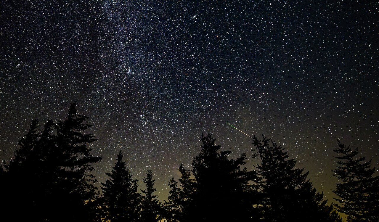 A night sky packed with stars and a pale band of the Milky Way above the dark silhouettes of evergreen trees, with a thin green-and-orange streak of a meteor just above the treetops, right of center.