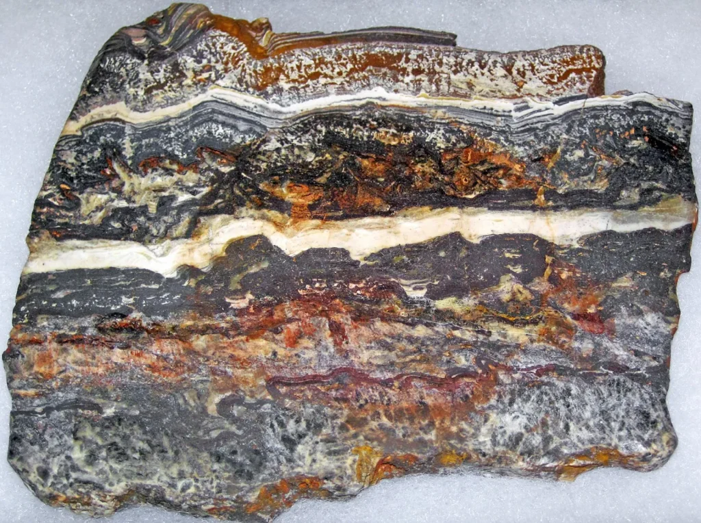 A cut and polished slab of rock with wavy horizontal bands of black, gray, white, rust-orange and dark red, lying on a white surface.