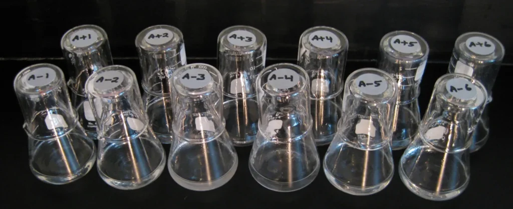 Twelve small glass flasks with caps labeled A-1 to A-6 and A+1 to A+6 stand in two rows against a black background; the flask labeled A-3 looks slightly cloudier than the rest.