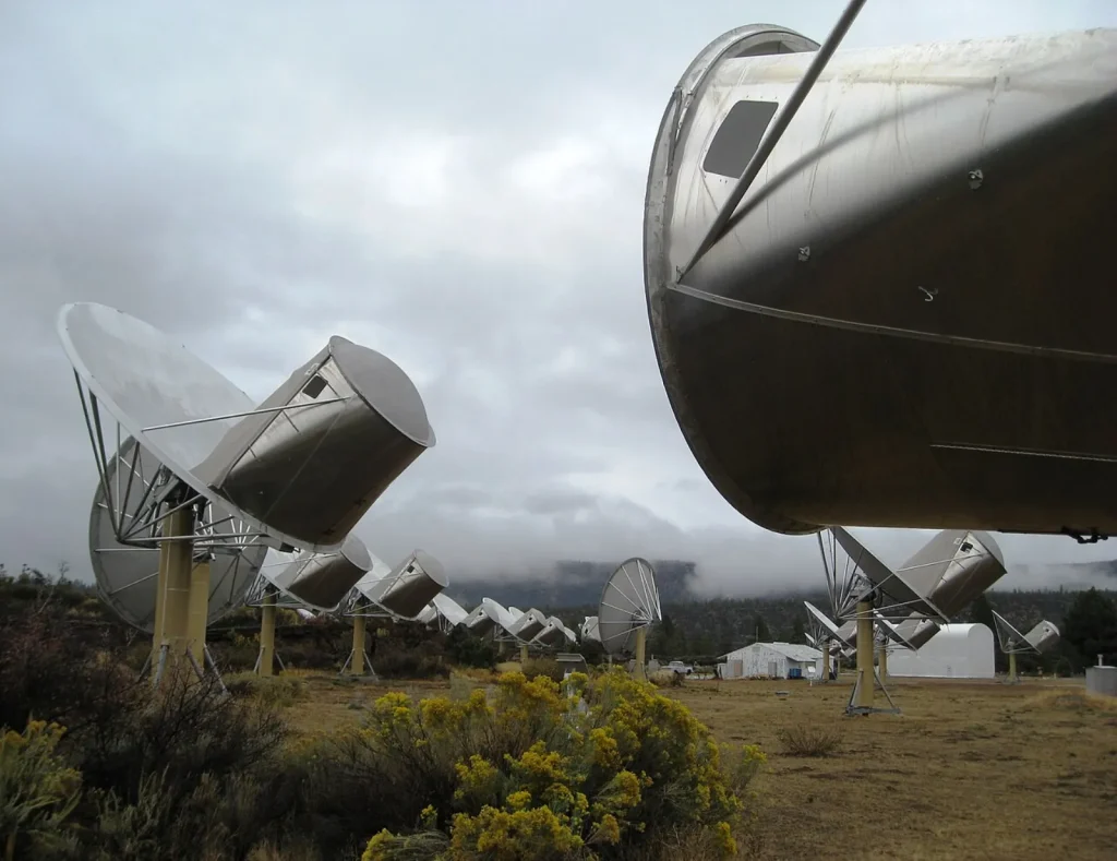 A long row of silver radio dishes on yellow posts stretches across a scrubby field under low gray clouds, with the round back of one dish looming close to the camera and yellow flowering shrubs in front.